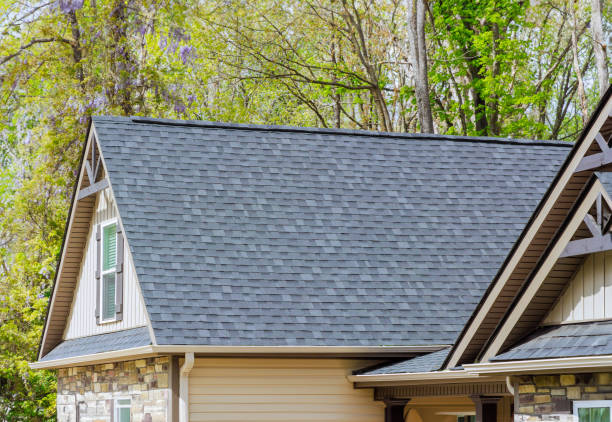 Best Asphalt Shingles Roofing  in Archbold, OH
